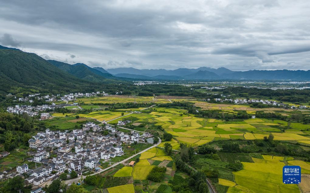 tb老虎机